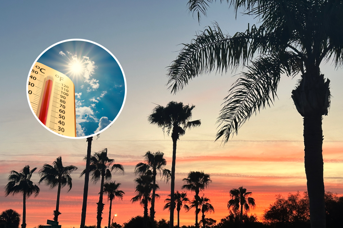 Stock image of palm trees at sunset with an inset image of a thermometer showing hot temperatures.