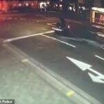 Um motorista bêbado foi preso depois de atropelar um motociclista (visto) que esperava no sinal vermelho