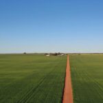 Na zona de chuvas médias, a propriedade Marchagee Farms recebe atenção renovada