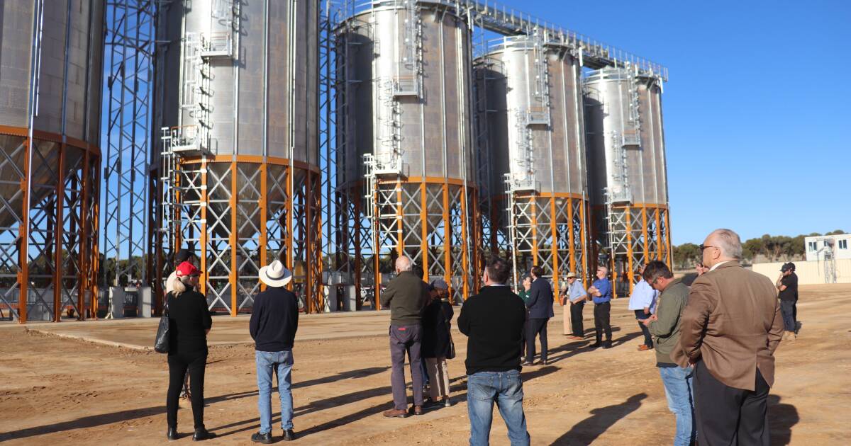 Novo 'mercado' de grãos apregoa velocidade e qualidade para produtores de grãos WA