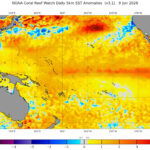 Esta imagem da Terra da Nullschool Technologies ilustra as temperaturas e correntes da superfície do mar à medida que o padrão do El Niño se fortalece.