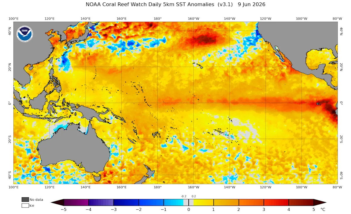Esta imagem da Terra da Nullschool Technologies ilustra as temperaturas e correntes da superfície do mar à medida que o padrão do El Niño se fortalece.