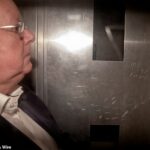 Peter Murrell chega em uma van da prisão ao Tribunal Superior de Edimburgo para ser sentenciado. Ele foi preso por cinco anos e três meses - mas teria pegado sete anos se não fosse culpado