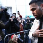 O júri afirma que Chris Brown deve US$ 13 milhões à governanta por desfiguração em ataque de cachorro
