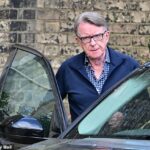Os arquivos de Peter Mandelson divulgados na segunda-feira expuseram as lutas internas tóxicas no centro do governo trabalhista (Mandelson é fotografado no início deste ano)