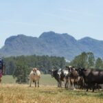 O ponto cego fiscal da confiança pode impedir os agricultores de uma rede de segurança contra a seca de US$ 6 bilhões