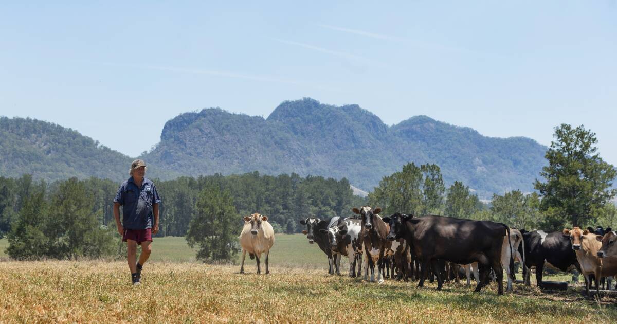 O ponto cego fiscal da confiança pode impedir os agricultores de uma rede de segurança contra a seca de US$ 6 bilhões