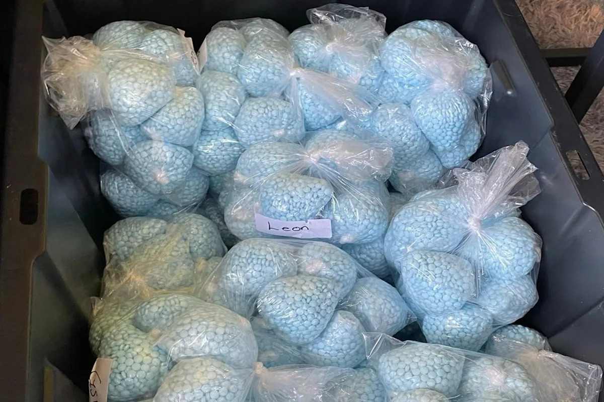 O que um repórter descobriu ao descobrir por que agentes federais permitiram que uma droga mortal chegasse às ruas