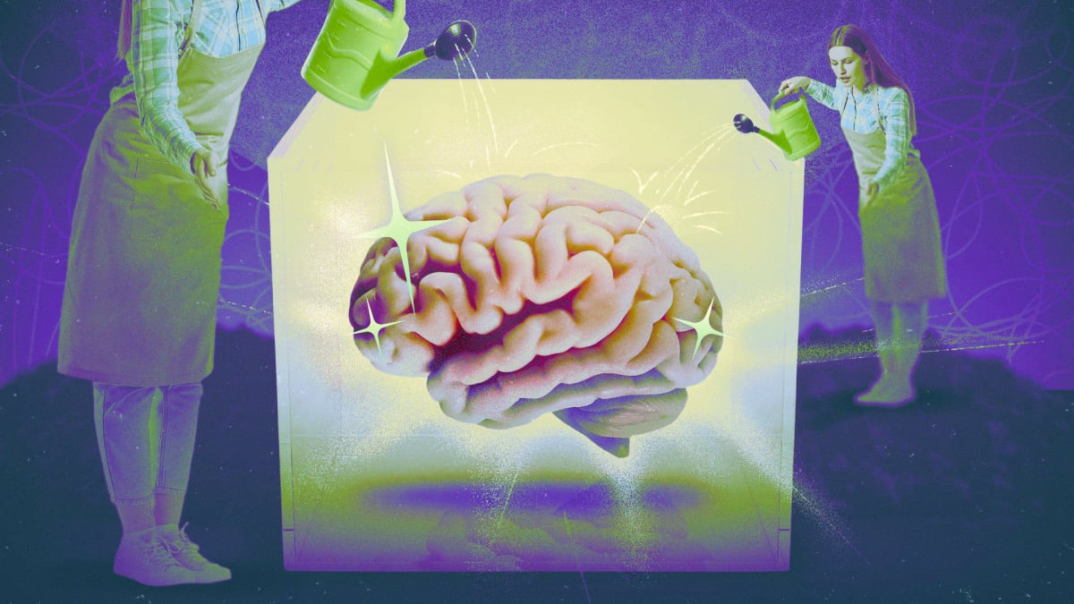 O significado de 'saúde cerebral' depende de a quem você pergunta