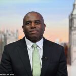 Os trabalhistas deixaram 98 por cento das vítimas no escuro quando 179 criminosos foram libertados da prisão por engano (Foto: David Lammy)