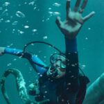 O trailer de Whalefall ousa perguntar: mas e se você for engolido por uma baleia?