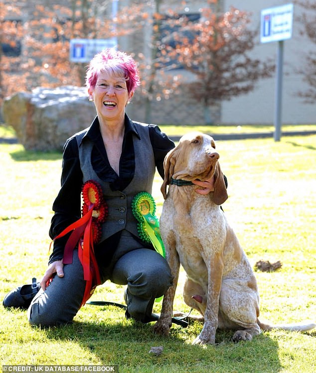 Lynda Cooper, cujo cão de caça ganhou seis prêmios na maior exposição canina do mundo em 2016, admitiu 11 infrações sociais e foi proibida de possuir cães por uma década depois que 77 cães foram encontrados vivendo em negligência grave em sua propriedade.