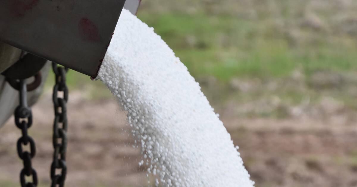 Os agricultores obtêm impulso na mineralização com as chuvas de outono, mas os orçamentos N permanecem estáveis