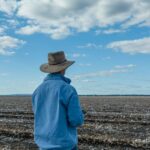 Os bancos estão ouvindo? O que os agricultores dizem que precisam para se adaptar e sobreviver à crise de custos