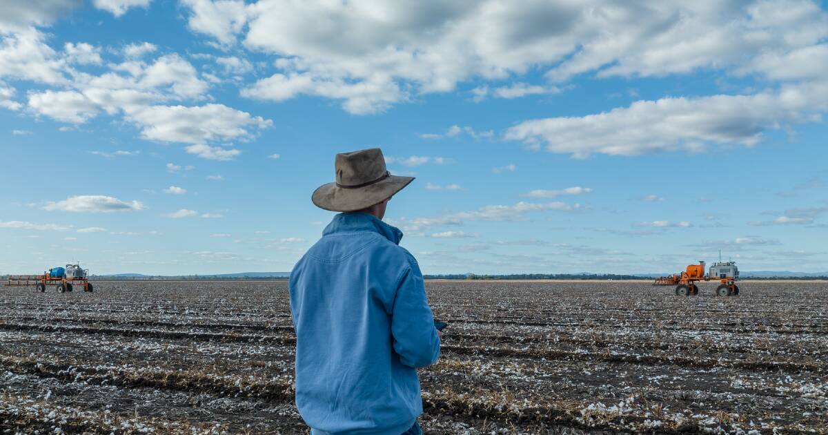 Os bancos estão ouvindo? O que os agricultores dizem que precisam para se adaptar e sobreviver à crise de custos