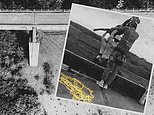 Os quatro erros que levaram à tragédia do bungee jump na Skeleton Bridge: FRED KELLY viu a cena com seus próprios olhos, agora ele refaz o prelúdio do desastre. Então foi realmente um acidente?