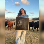 Pintando gado em tela: Lara compartilha a vida em Albany para um público crescente