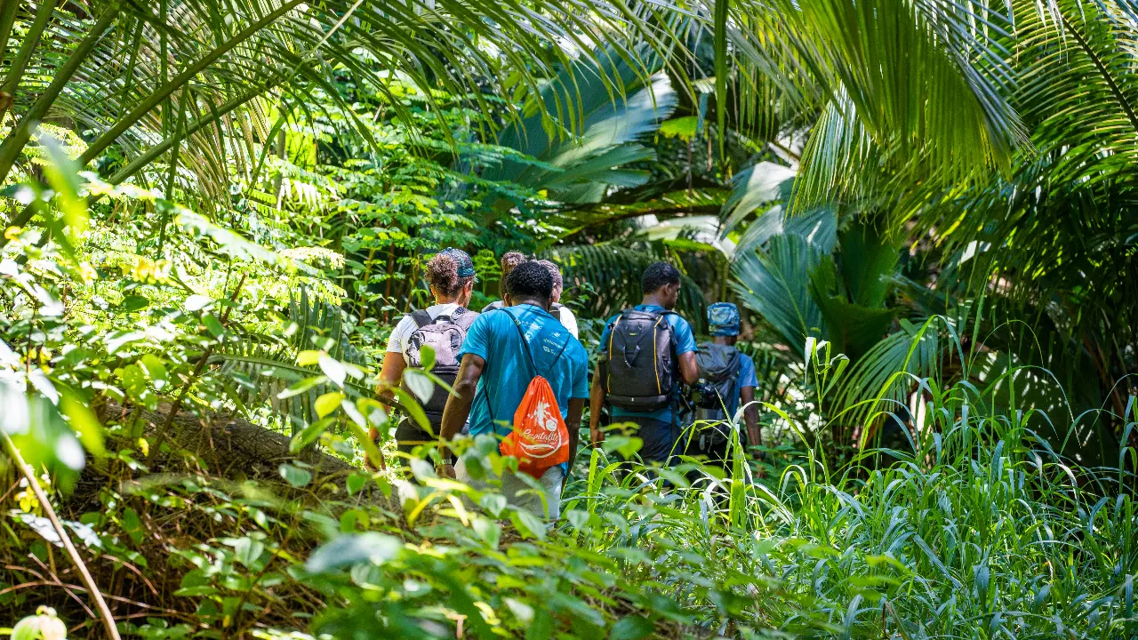 Por que Seychelles é mais do que apenas um destino de lua de mel para viajantes