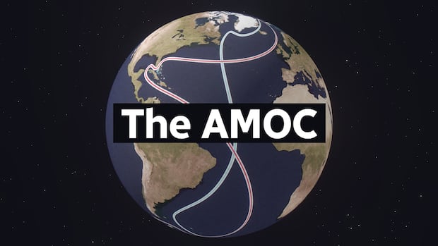 Por que os cientistas estão preocupados com a AMOC e como ela poderia impactar a Costa Leste