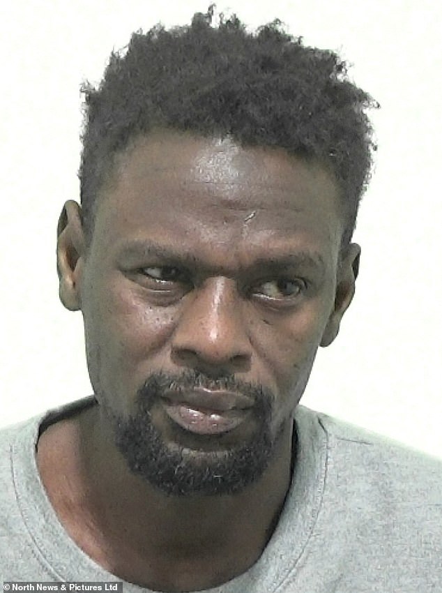 Mohamed Ibrahim Harun, 32 anos, enfureceu-se, 'foda-se a Inglaterra' enquanto foi preso por sete anos e meio no Newcastle Crown Court por estuprar um estranho que conheceu em um parque em Sunderland