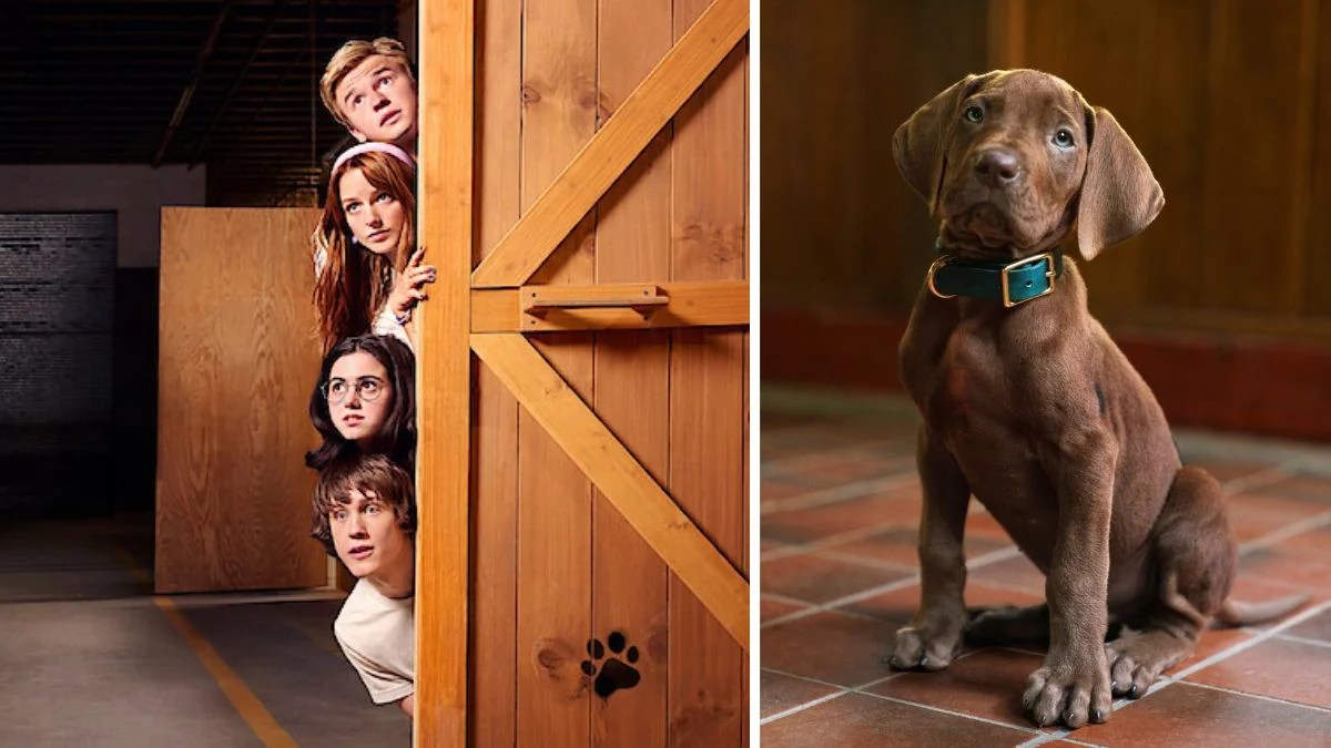 scooby-doo-anime-tubi