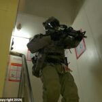 Os Royal Marines foram fotografados interceptando o navio da frota paralela russa Smyrtos esta semana ao lado de oficiais da Agência Nacional do Crime