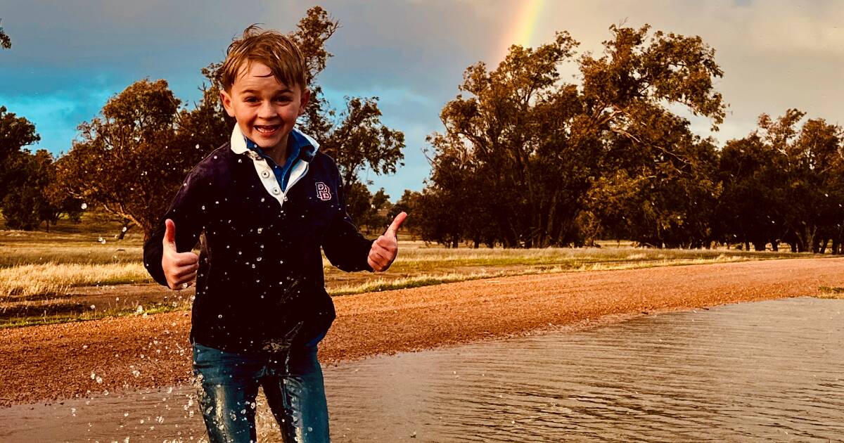 Tempestade traz chuva e alívio para pastagens, mas a água ainda é um problema para as fazendas de WA