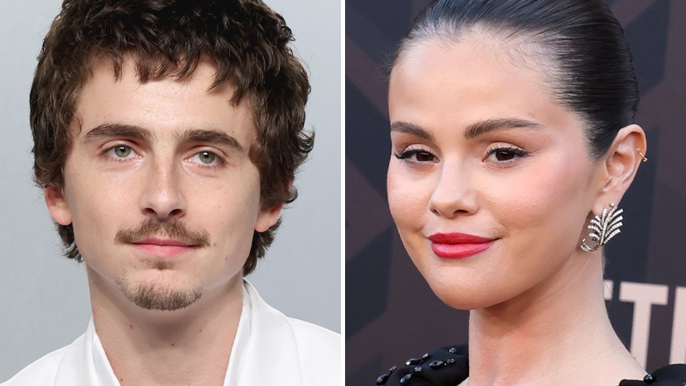 Timothée Chalamet e Selena Gomez estrelarão o filme de animação alienígena 'Not Alone' da Illumination