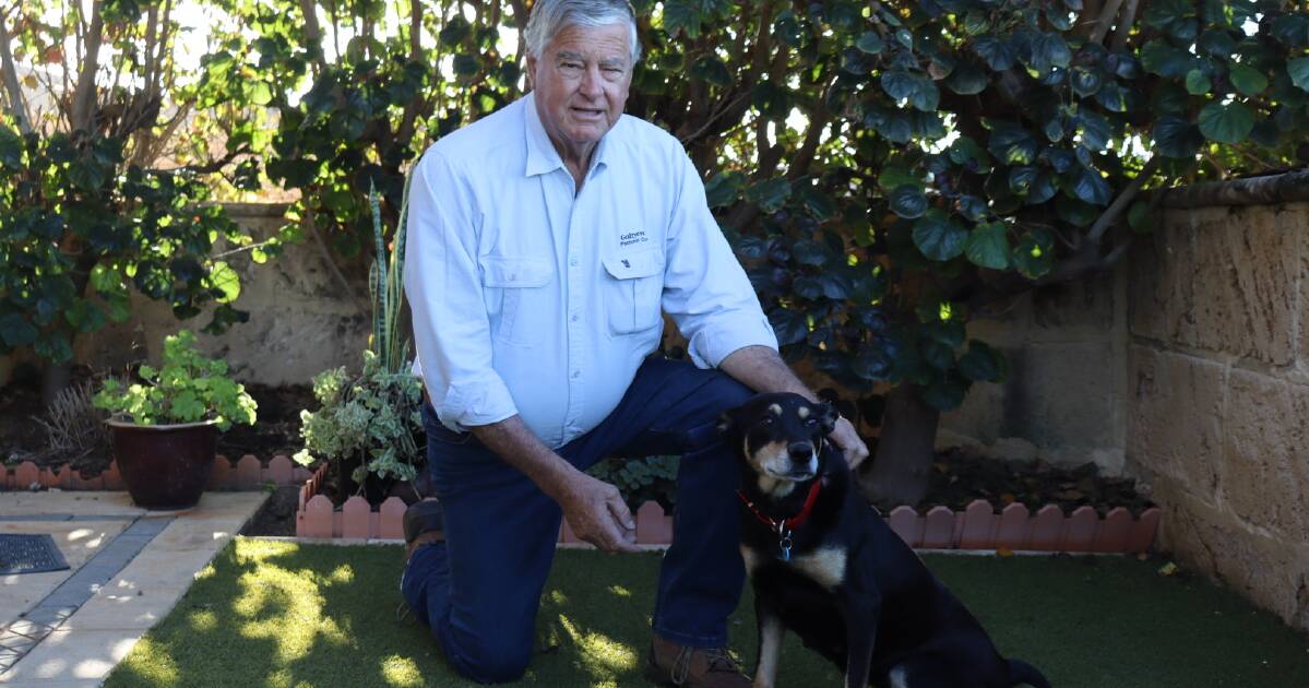 Tomates jogados e telefonemas às 3 da manhã: uma vida inteira defendendo uma honra homenageada