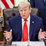 O presidente Donald Trump anunciou no domingo à noite que os EUA tinham chegado a um acordo de paz com o Irão, com o objectivo de pôr fim à guerra três meses e meio depois do seu início.