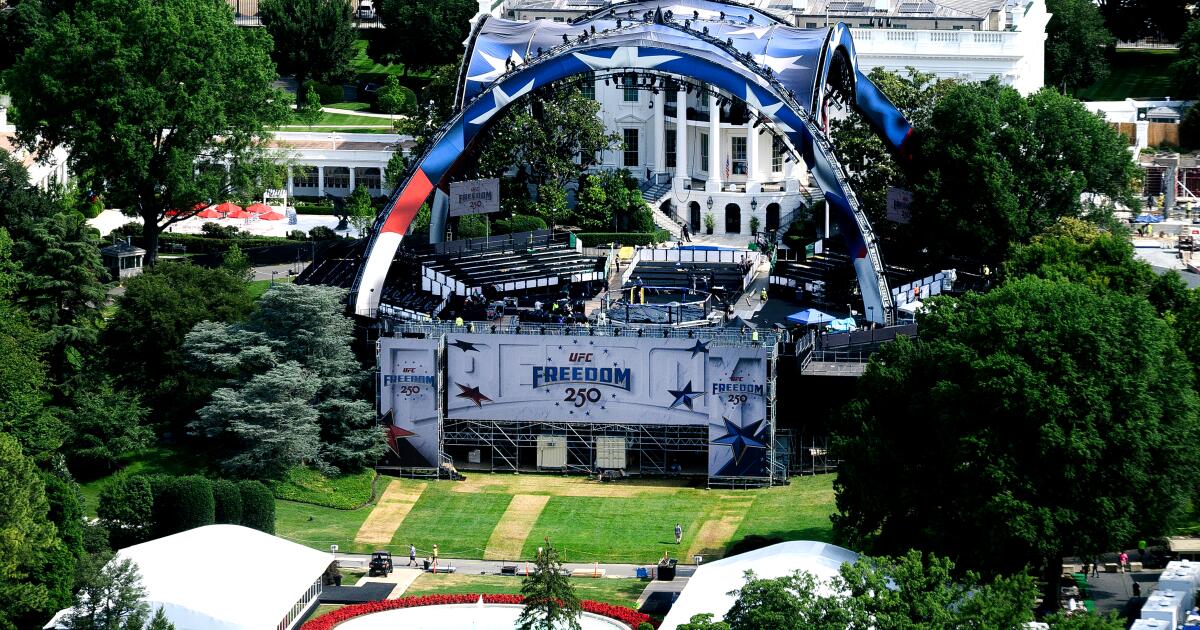 UFC Freedom 250: O que saber sobre a luta na Casa Branca, Paramount e o processo