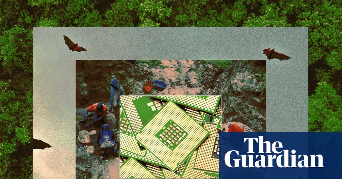 Uma doença do desmatamento: como o Ebola está ligado ao smartphone no seu bolso