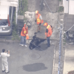 Urso capturado após dias de pânico e fechamento de escolas no Japão