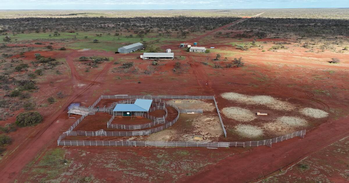 Venda de estações Gascoyne indica forte demanda local por terras pastoris