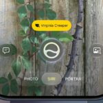 iOS 27 traz outra melhoria muito bem-vinda ao controle de câmera no iPhone