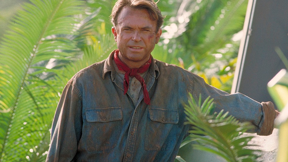 MINHA CARREIRA BRILHANTE, Sam Neill, Judy Davis, 1979, (c) Analysis Films / cortesia da Everett Collection
