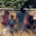 Os frequentadores do parque foram vistos aglomerando os jovens no fim de semana e até acariciando-os - apesar dos avisos para ficar a pelo menos 50 metros de distância