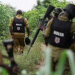 Atacantes armados matam mais de 20 pessoas no noroeste da Nigéria