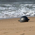 Uma das seis misteriosas grandes esferas prateadas encontradas em Forrest Beach, em Queensland
