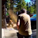 Cortlandt Koerwitz/Instagram - FOTO: Nesta captura de tela de um vídeo, um urso ataca um homem em Tahoma, Califórnia, em 4 de julho de 2026.