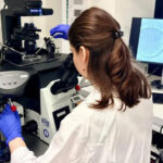 Katarina Harasimov realizando edição de base no laboratório Niakan do Loke Center for Trophoblast Research da Universidade de Cambridge. - Centro Loke para Pesquisa de Trofoblastos, Universidade de Cambridge