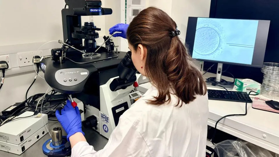 Katarina Harasimov realizando edição de base no laboratório Niakan do Loke Center for Trophoblast Research da Universidade de Cambridge. - Centro Loke para Pesquisa de Trofoblastos, Universidade de Cambridge