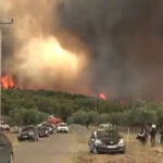 Bombeiros combatem incêndio na floresta francesa de Fontainebleau em meio a incêndios mortais na Europa