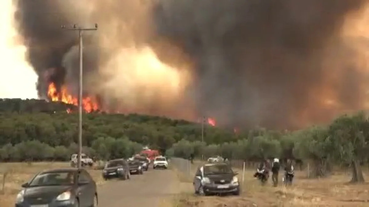 Bombeiros combatem incêndio na floresta francesa de Fontainebleau em meio a incêndios mortais na Europa