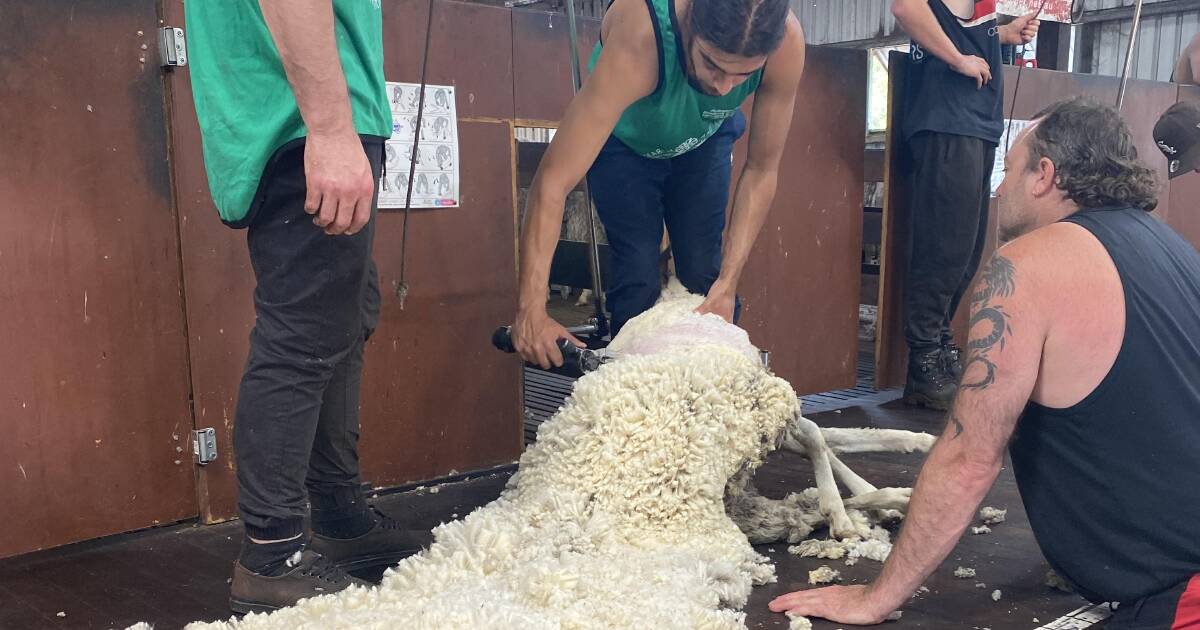Comitê de gestão lamenta o fim de uma era para a propriedade de Rylington Park