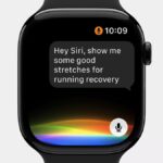 Captura de tela da Siri AI da Apple no iOS.