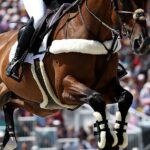 Dois cavaleiros morreram com poucas horas de diferença em competições separadas, confirmou a British Eventing (foto de arquivo)
