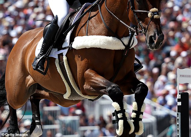 Dois cavaleiros morreram com poucas horas de diferença em competições separadas, confirmou a British Eventing (foto de arquivo)