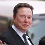 Elon Musk postou que estava disposto a dar a Mel Gibson US$ 100 milhões para filmar uma Odisseia “meticulosamente precisa historicamente” em sua última crítica ao novo filme de Christopher Nolan.