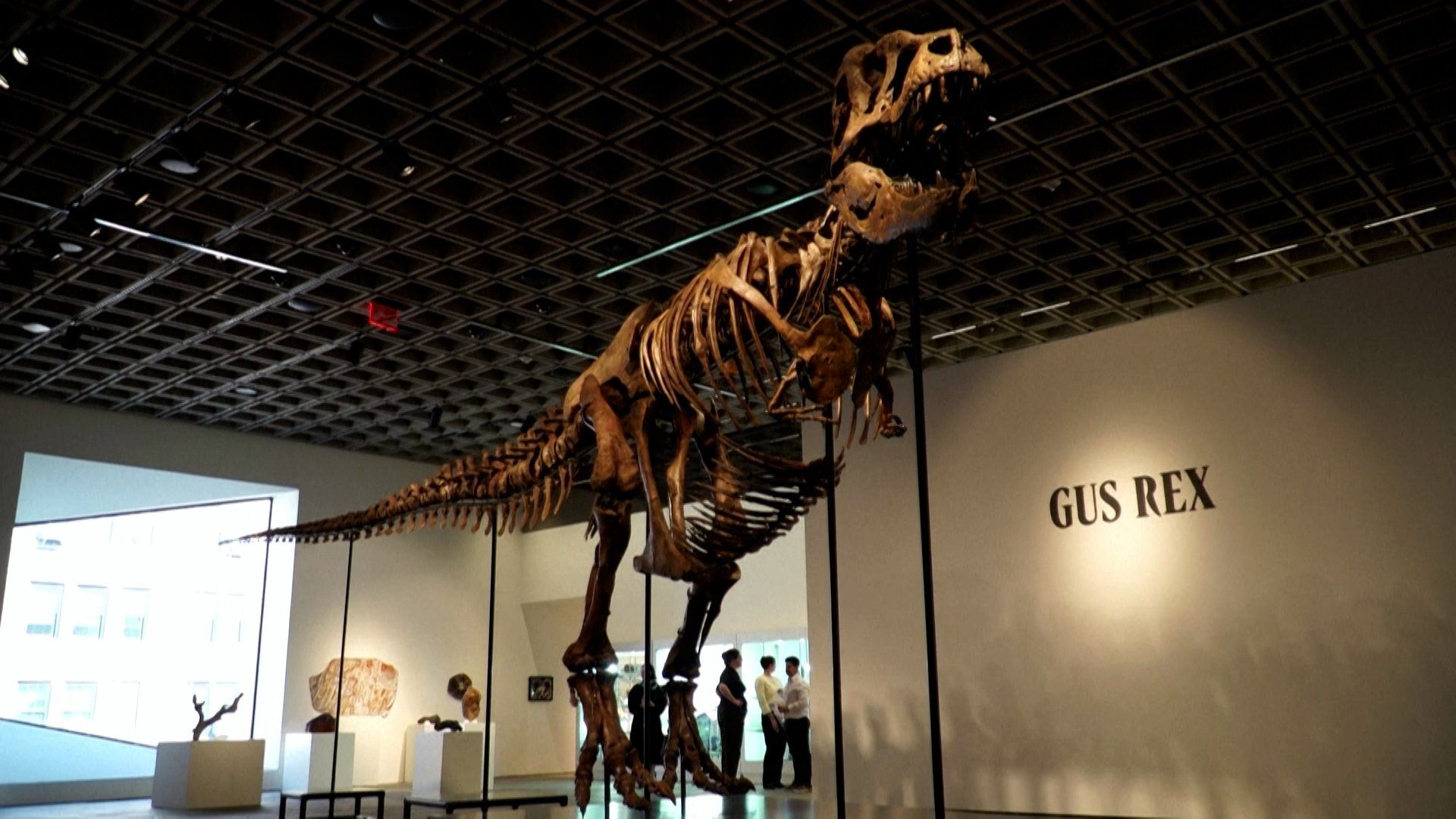 Esqueleto do T.Rex é vendido por US$ 50,1 milhões em leilão em Nova York